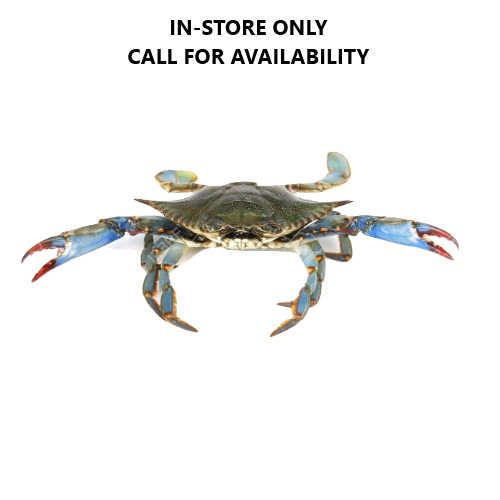 Live Blue Crab